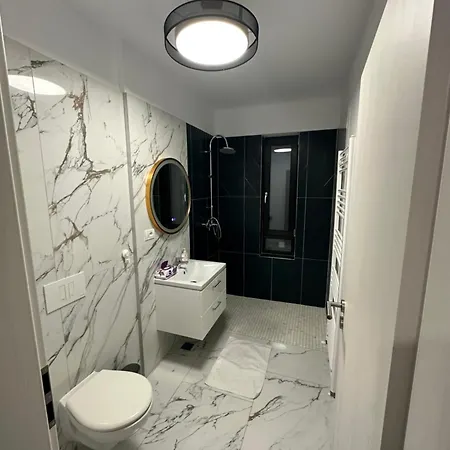 Appartement Q Business Timişoara