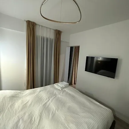 Q Business アパート ティミショアラ