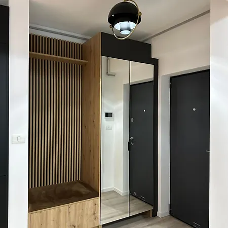 Q Business * ティミショアラ