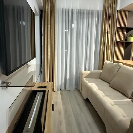 Q Business ティミショアラ