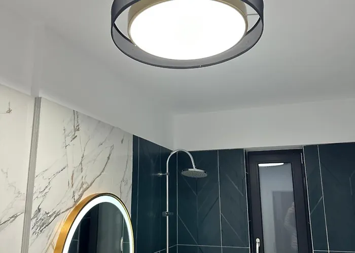 Apartment Q Business Timişoara