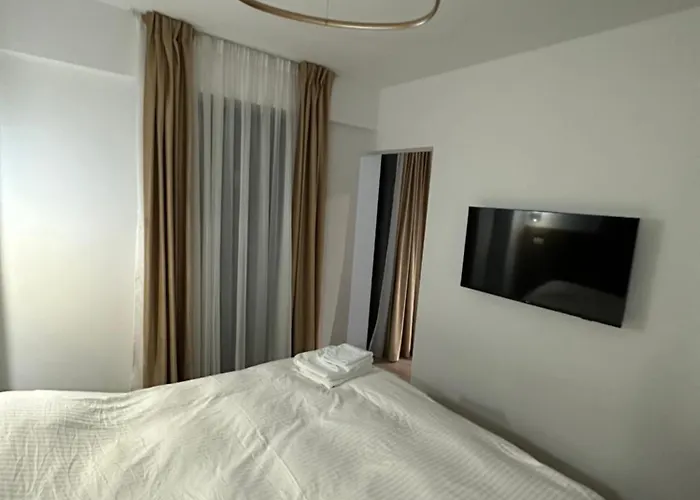 Q Business Apartment Timişoara